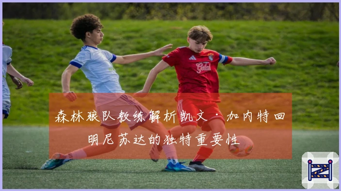 森林狼队教练解析凯文·加内特回归明尼苏达的独特重要性