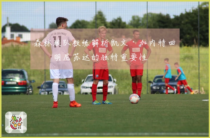森林狼队教练解析凯文·加内特回归明尼苏达的独特重要性