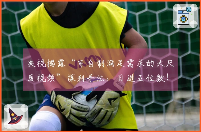 央视揭露“可自制满足需求的大尺度视频”谋利手法，日进五位数！