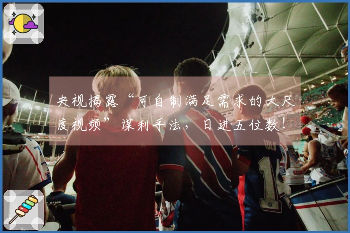央视揭露“可自制满足需求的大尺度视频”谋利手法，日进五位数！